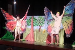 Divadelní představení - V korunách stromů (léto)